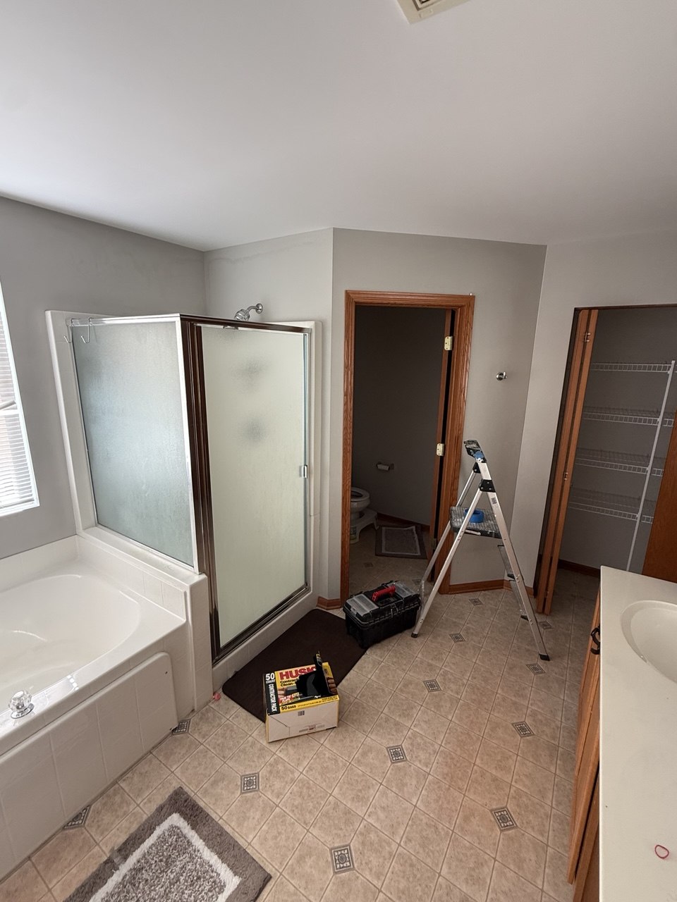 Outdated 1990s bathroom before remodel in Round Lake, IL